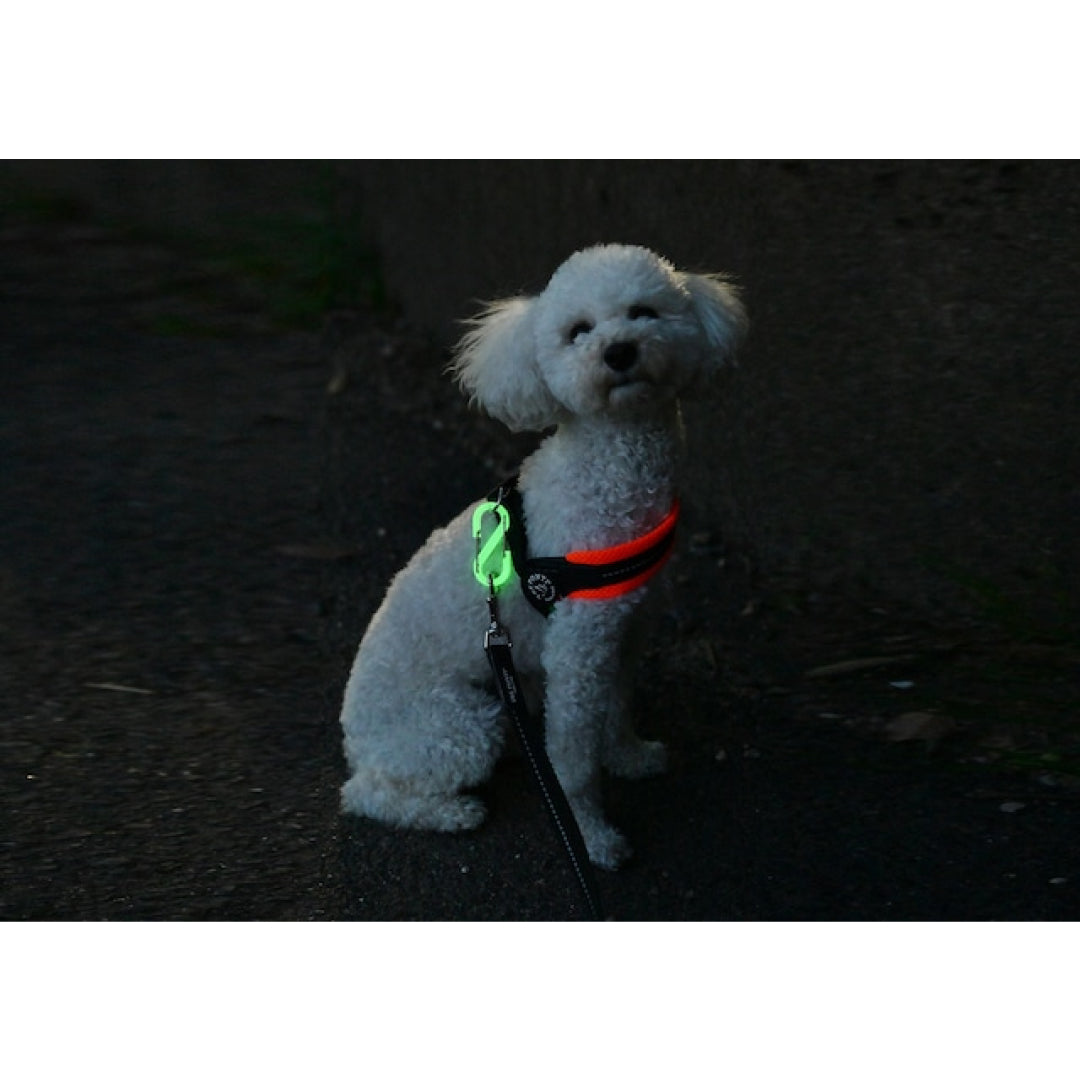 Glowing in the dark