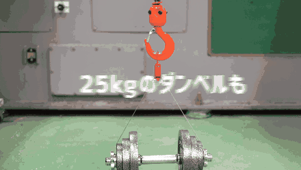 The clip lifting a 25 kg dumbbell in the maker's test