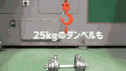 The clip lifting a 25 kg dumbbell in the maker's test