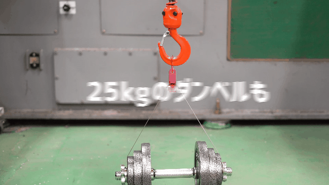 The clip lifting a 25 kg dumbbell in the maker test